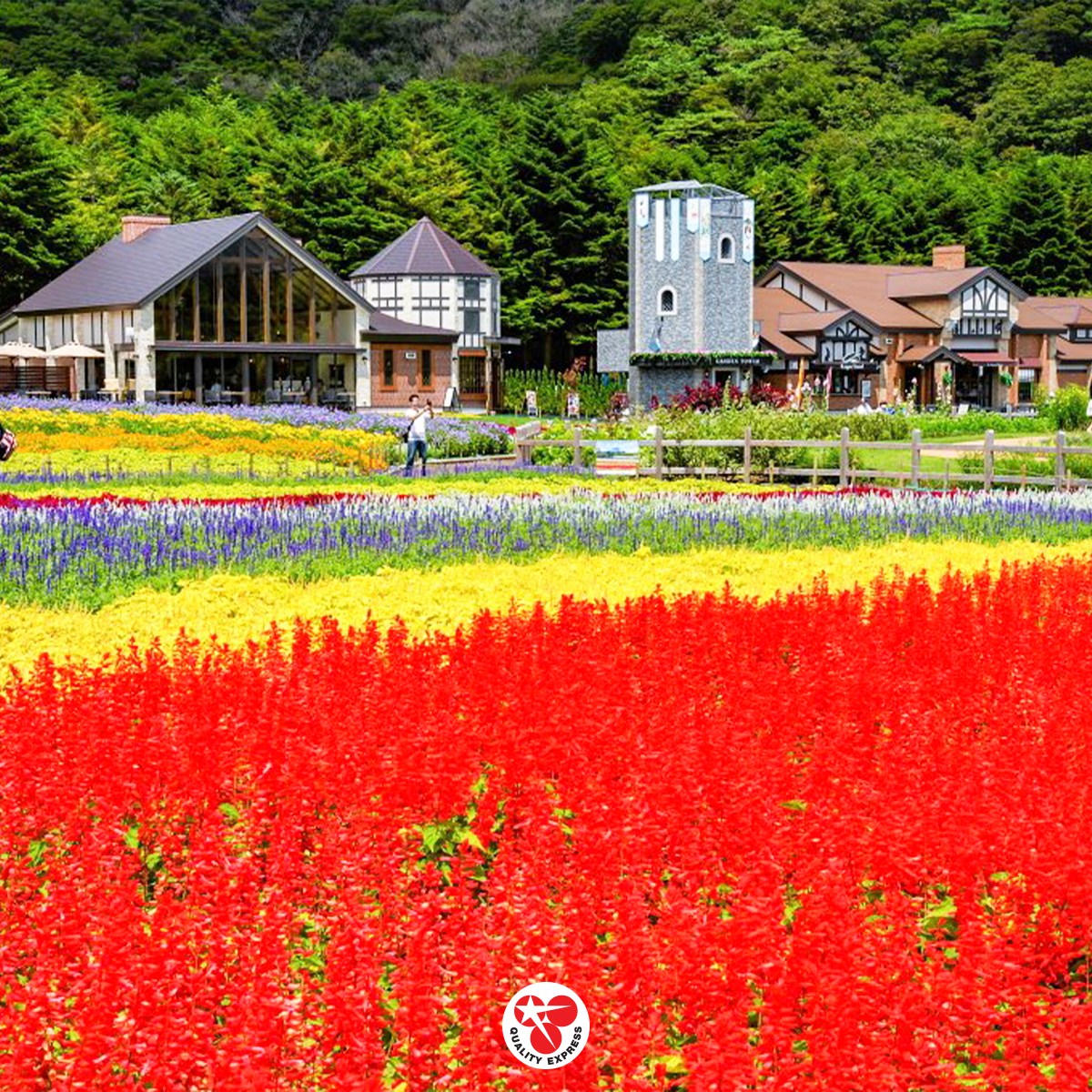 Rainbow Flower Festival