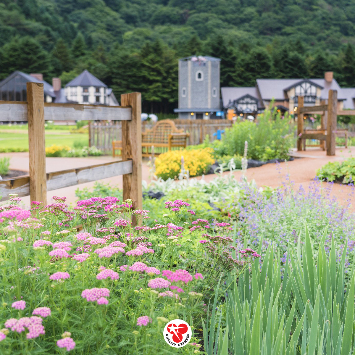 Rainbow Flower Festival