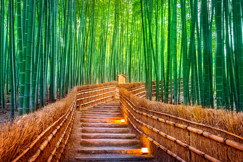 สวนป่าไผ่อาราชิยาม่า - Arashiyama