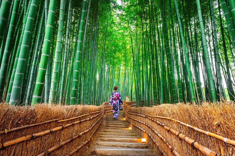 สวนป่าไผ่อาราชิยาม่า - Arashiyama