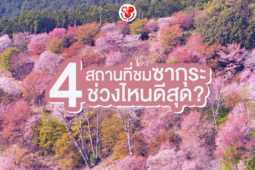 4 สถานที่ชมซากุระ ช่วงไหนดีสุด?