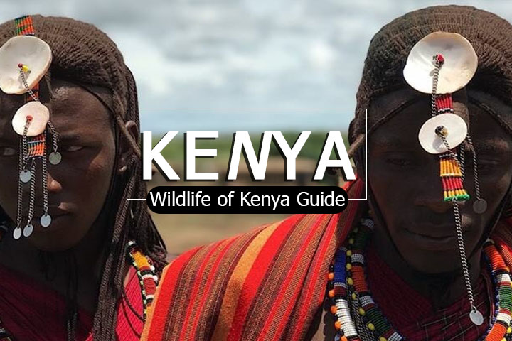 เปิดประสบการณ์สุดแปลกใหม่กับพวกเราที่เคนยา