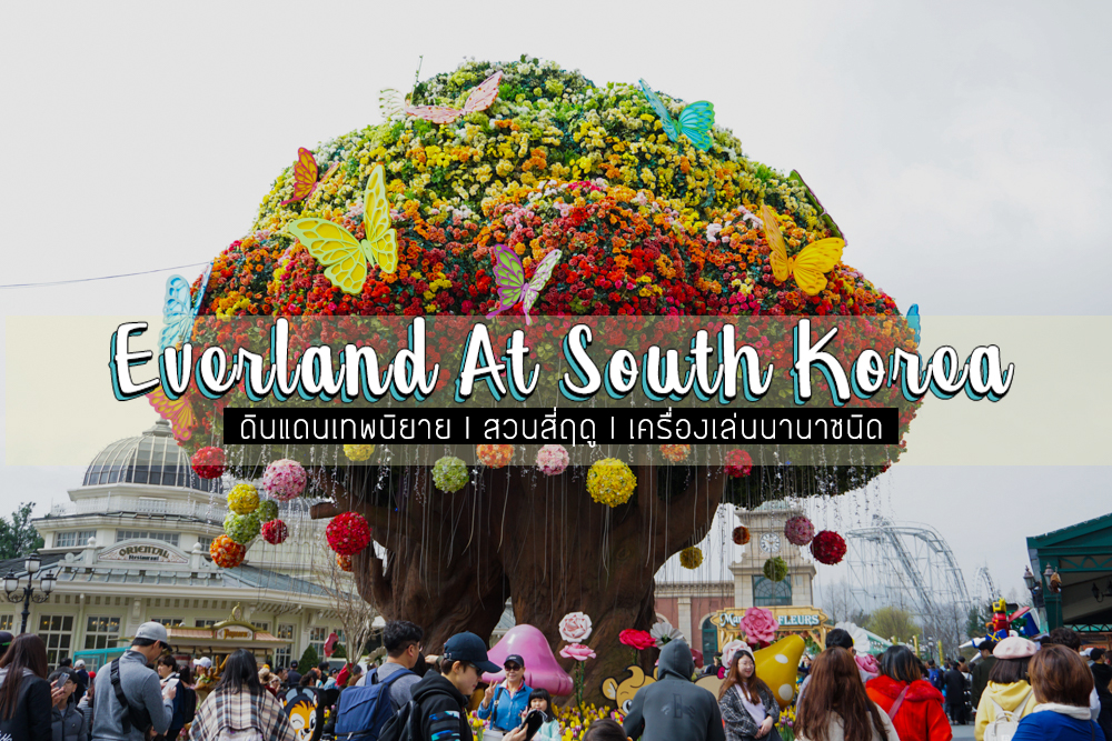 มัน-เสียว-มาก Everland At South Korea 