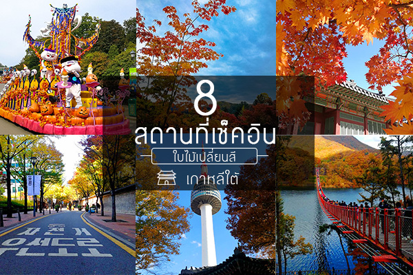 8 สถานที่เช็คอิน ใบไม้เปลี่ยนสี ห้ามพลาด!!