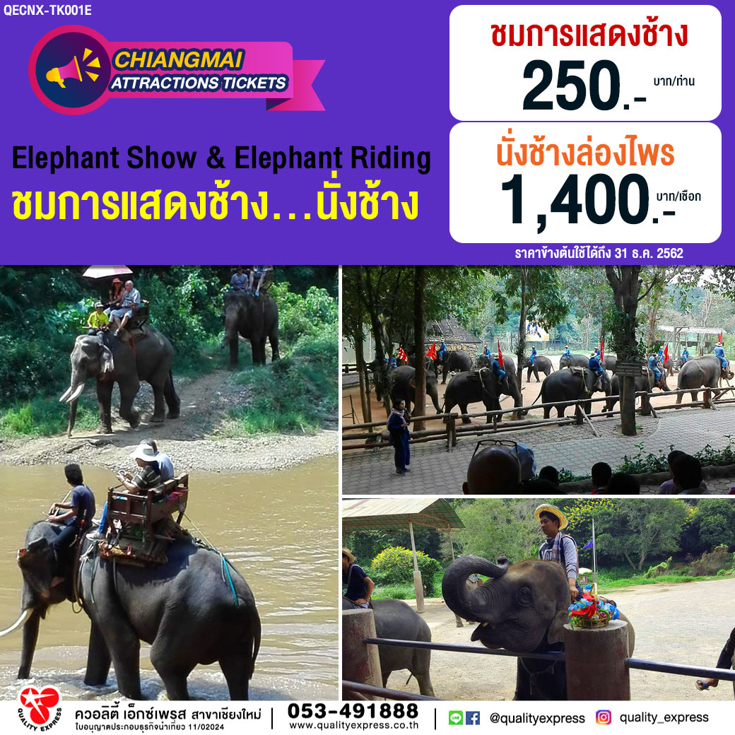 ELEPHANT SHOW & RIDING ชมการแสดงช้าง...นั่งช้าง