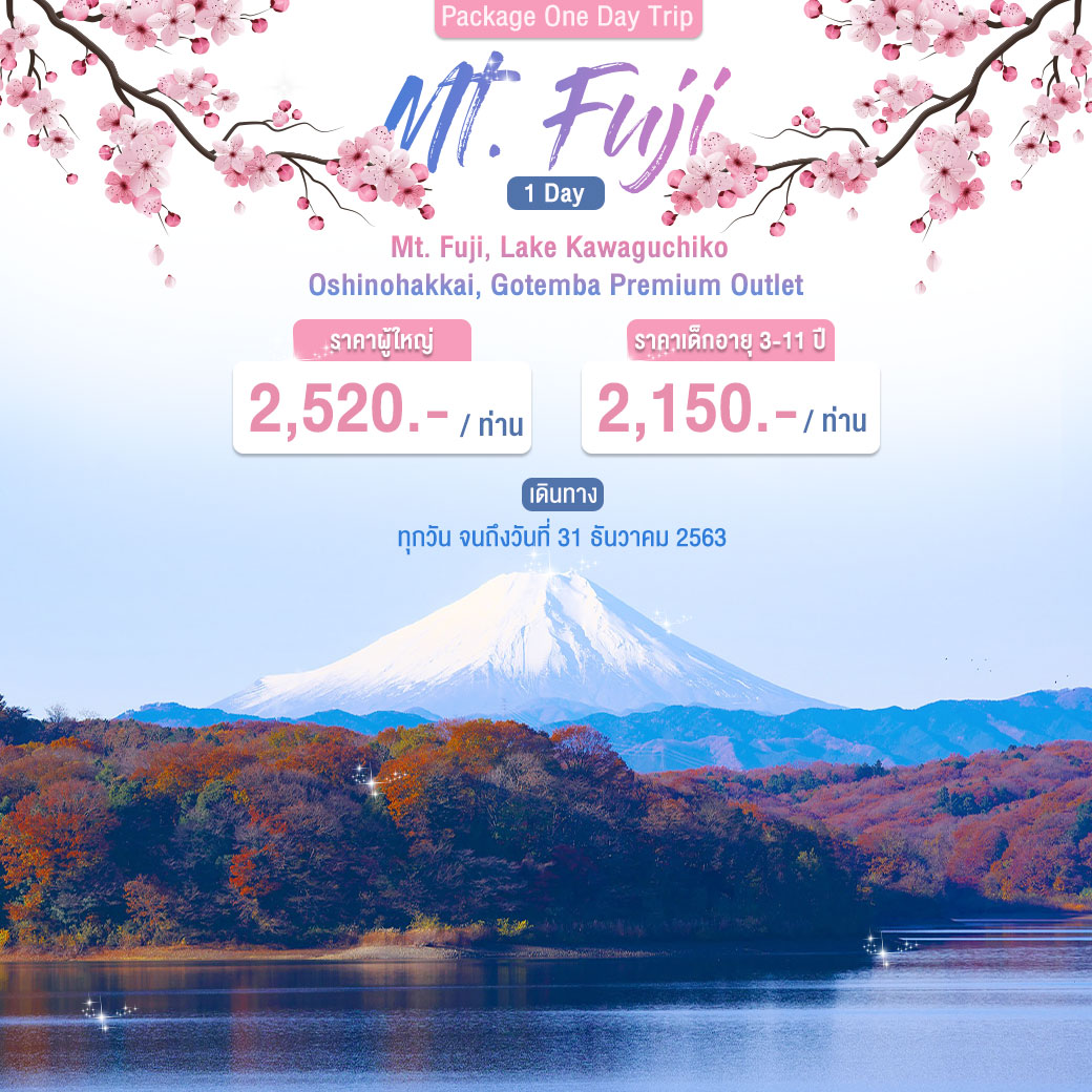 Package Mt. Fuji 1 Day