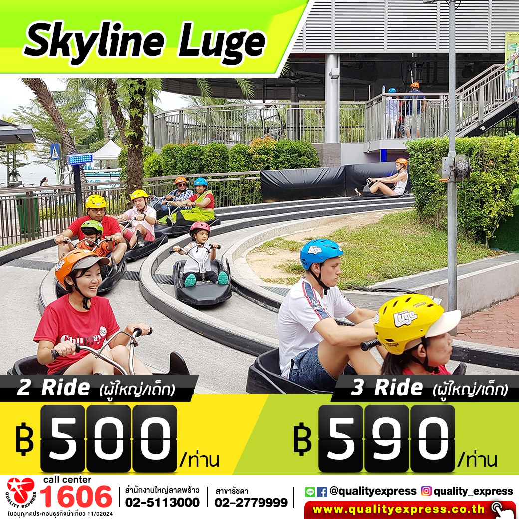 Skyline-Luge