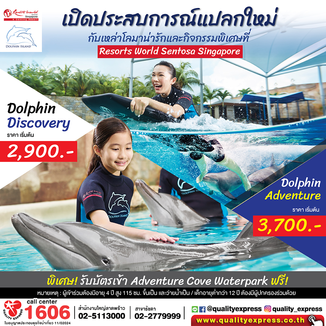 เปิดประสบการณ์แปลกใหม่ Dolphin Island